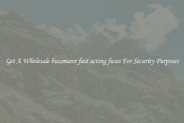 Get A Wholesale bussmann fast acting fuses For Security Purposes