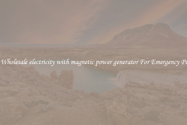 Get A Wholesale electricity with magnetic power generator For Emergency Purposes
