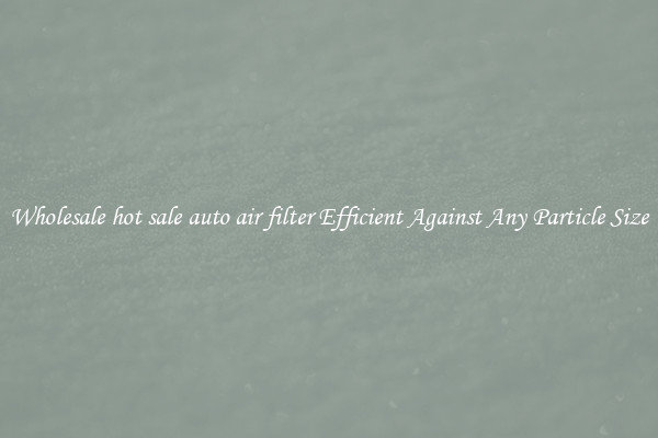 Wholesale hot sale auto air filter Efficient Against Any Particle Size