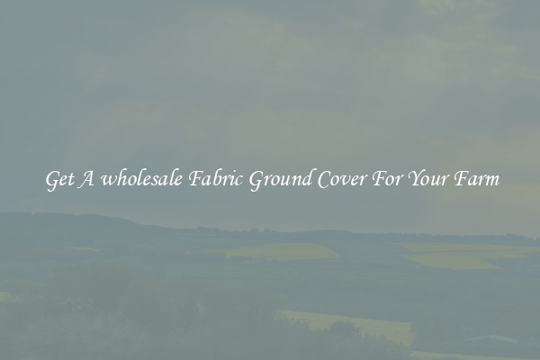 Get A wholesale Fabric Ground Cover For Your Farm
