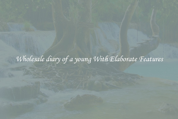 Wholesale diary of a young With Elaborate Features