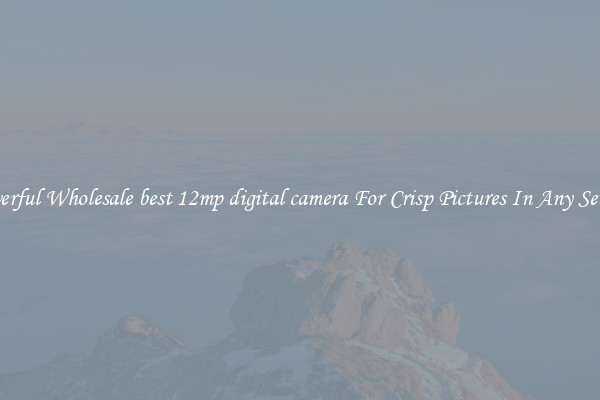 Powerful Wholesale best 12mp digital camera For Crisp Pictures In Any Setting