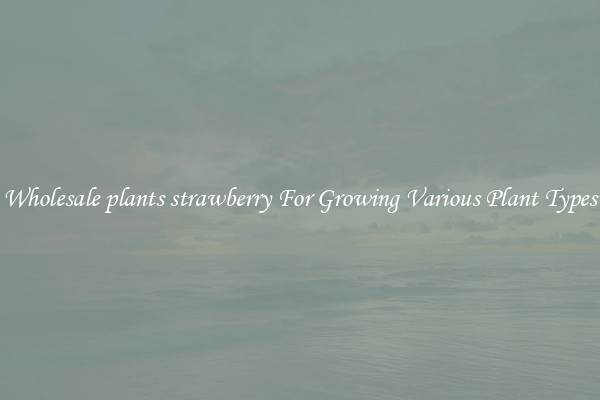 Wholesale plants strawberry For Growing Various Plant Types