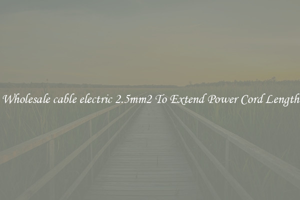 Wholesale cable electric 2.5mm2 To Extend Power Cord Length