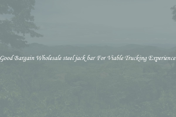 Good Bargain Wholesale steel jack bar For Viable Trucking Experience 