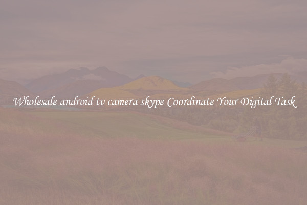 Wholesale android tv camera skype Coordinate Your Digital Task