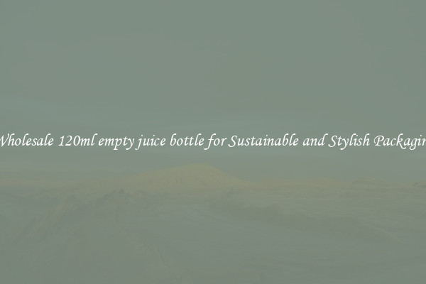 Wholesale 120ml empty juice bottle for Sustainable and Stylish Packaging