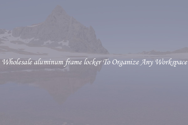 Wholesale aluminum frame locker To Organize Any Workspace