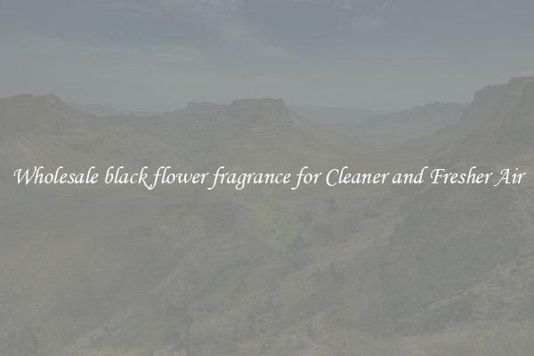 Wholesale black flower fragrance for Cleaner and Fresher Air