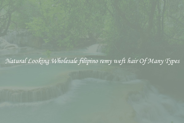 Natural Looking Wholesale filipino remy weft hair Of Many Types