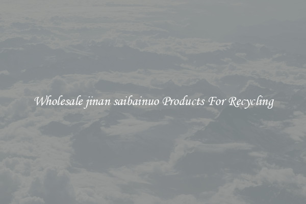 Wholesale jinan saibainuo Products For Recycling