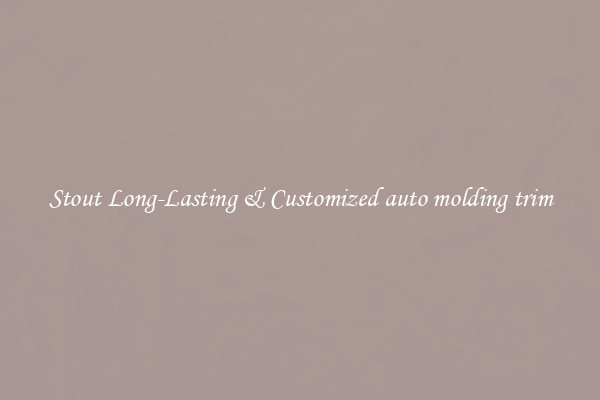 Stout Long-Lasting & Customized auto molding trim
