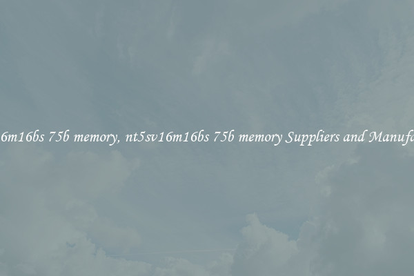 nt5sv16m16bs 75b memory, nt5sv16m16bs 75b memory Suppliers and Manufacturers