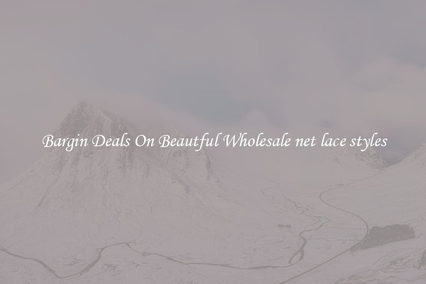 Bargin Deals On Beautful Wholesale net lace styles