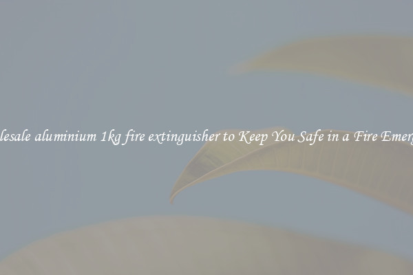 Wholesale aluminium 1kg fire extinguisher to Keep You Safe in a Fire Emergency