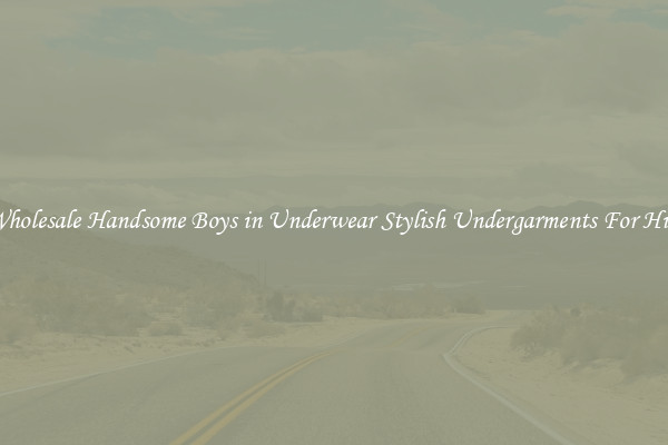 Wholesale Handsome Boys in Underwear Stylish Undergarments For Him
